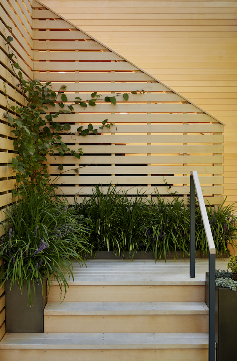 Architects' Garden Privacy Screens | Gardenista