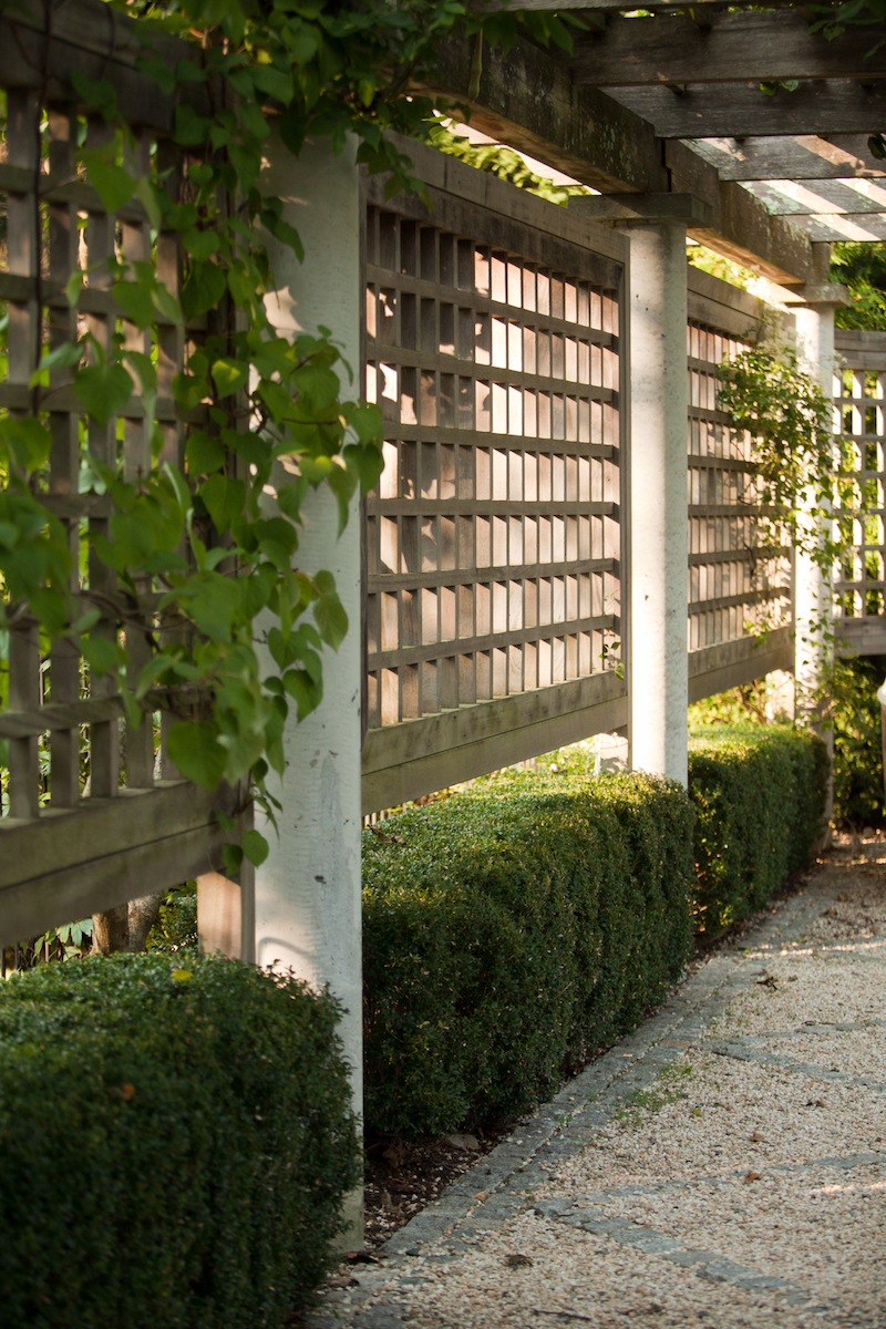 Architects' Garden Privacy Screens | Gardenista