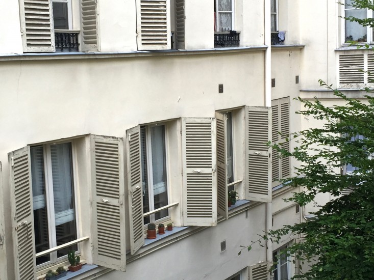 paris-window-sill-garden-scacti-gardenista