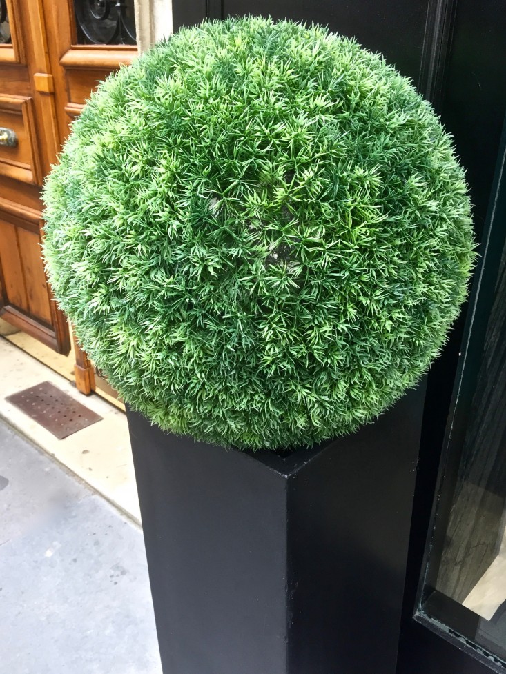 paris-fake-plants-gardenista