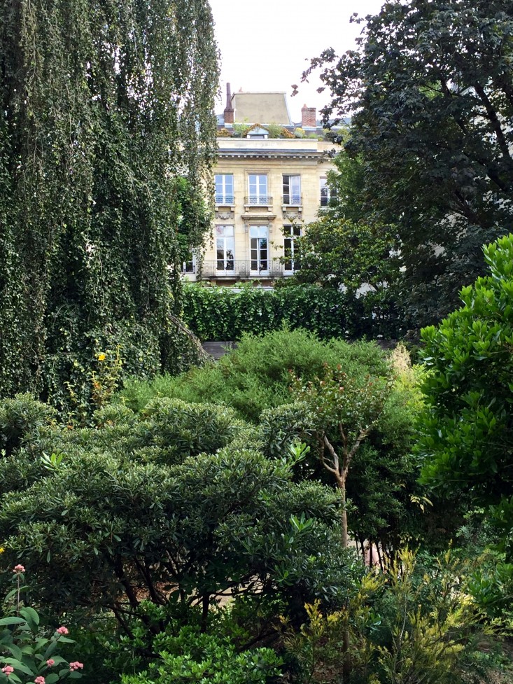 paris-wild-gardens-gardenista
