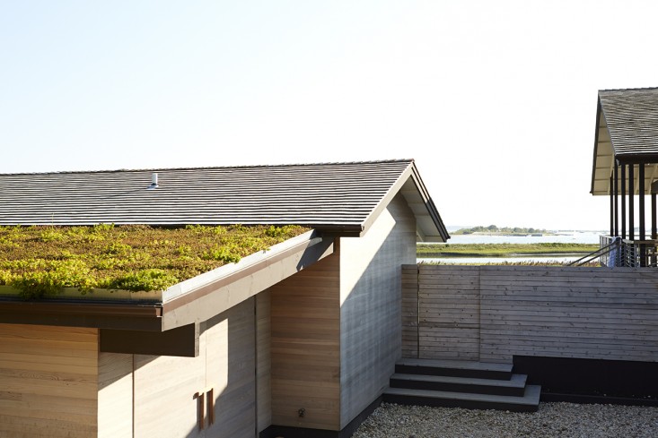 Shelter_Island_Ochre_Canvas_Home_garden_green_roof_rooftop_gardenista_roof_3