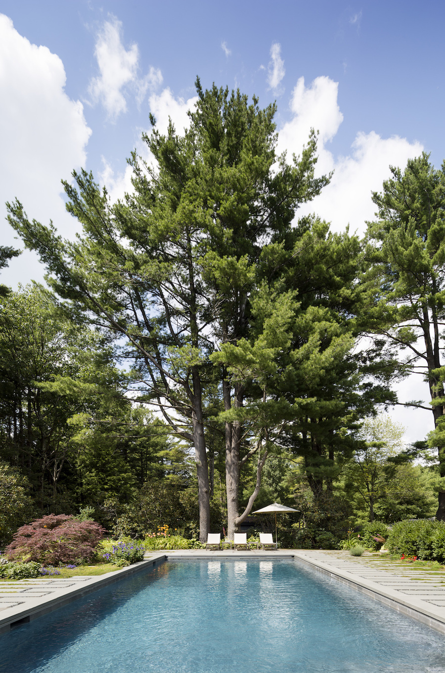 Moss Ledge Pool by O'Neill Rose Architects | Gardenista