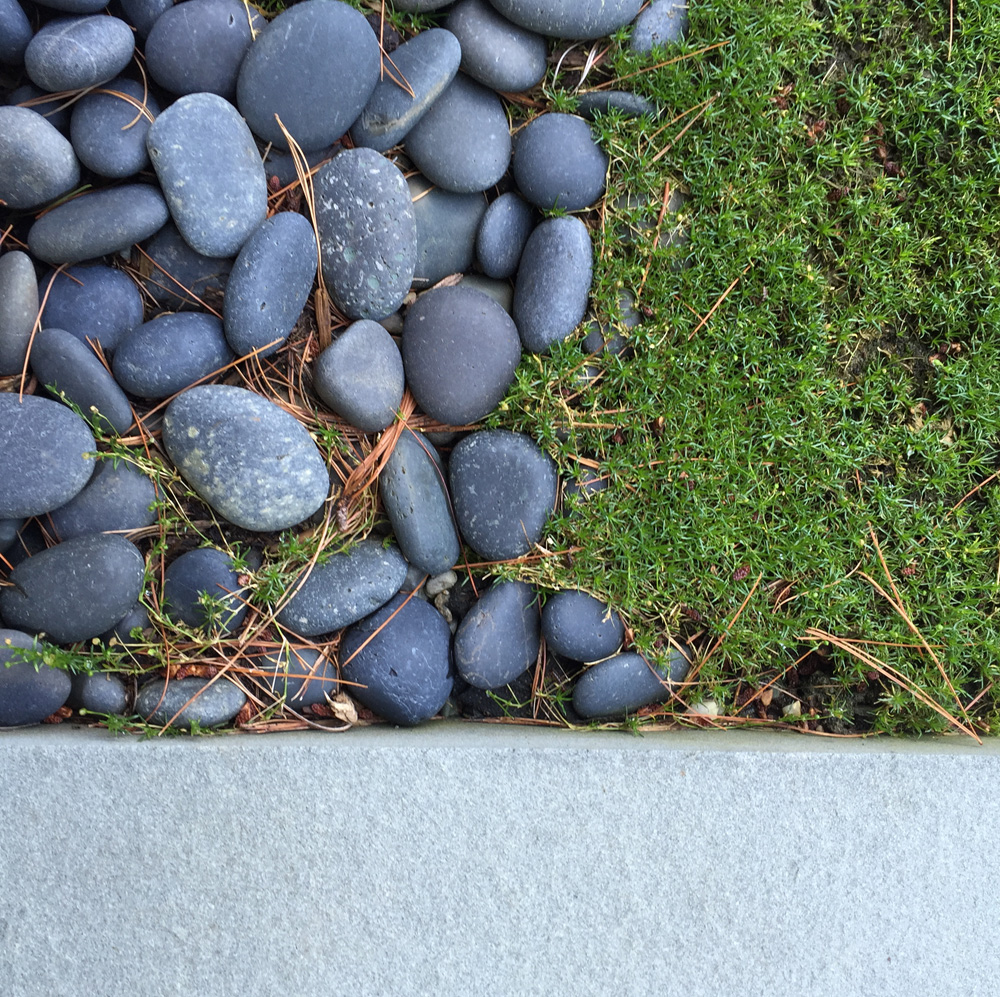 Moss Ledge Pool by O'Neill Rose Architects | Gardenista