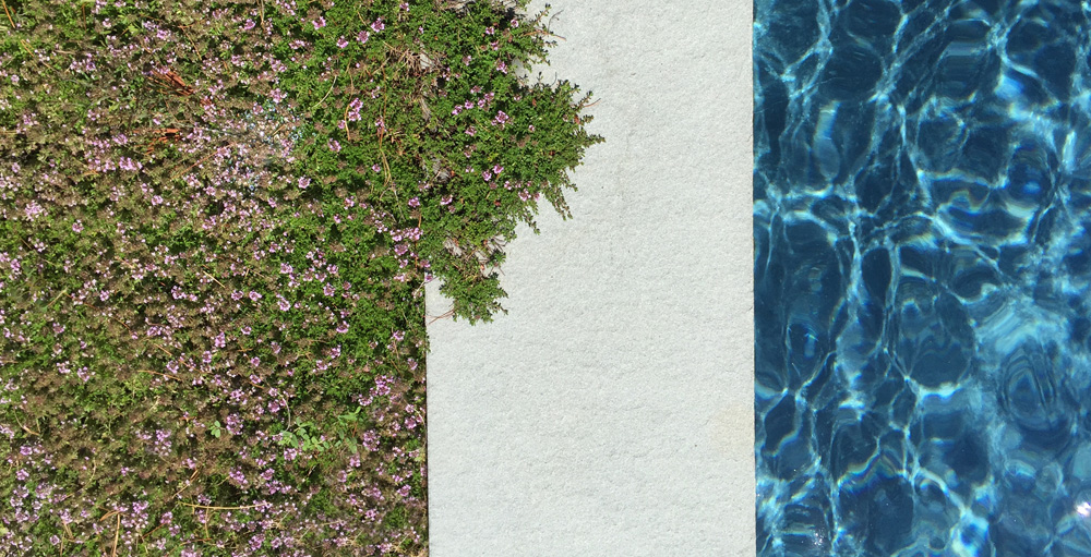 Moss Ledge Pool by O'Neill Rose Architects | Gardenista