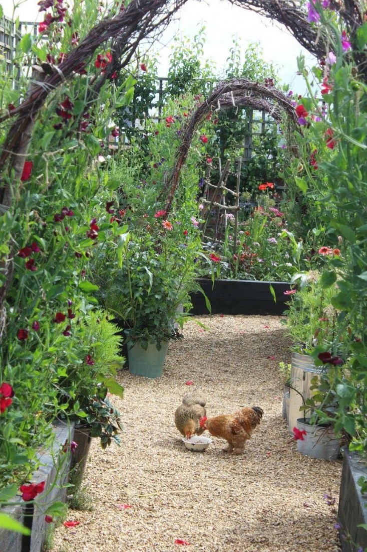 emma-bridgewater-arthur-parkinson-garden-chickens-arbors-grael-paths-raised-beds-gardenista
