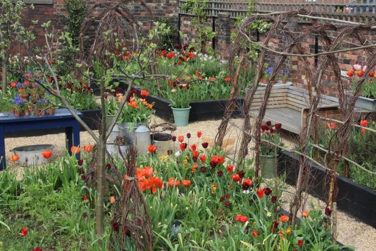 emma-bridgewater-arthur-parkinson-birch-tunnels-tulips-spring-gardenista