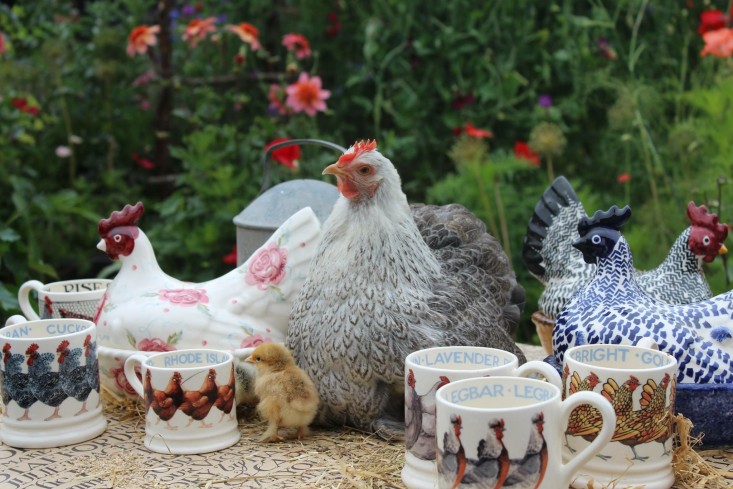 emma-bridgewater-arthur-parkinson-chickens-pottery-gardenista