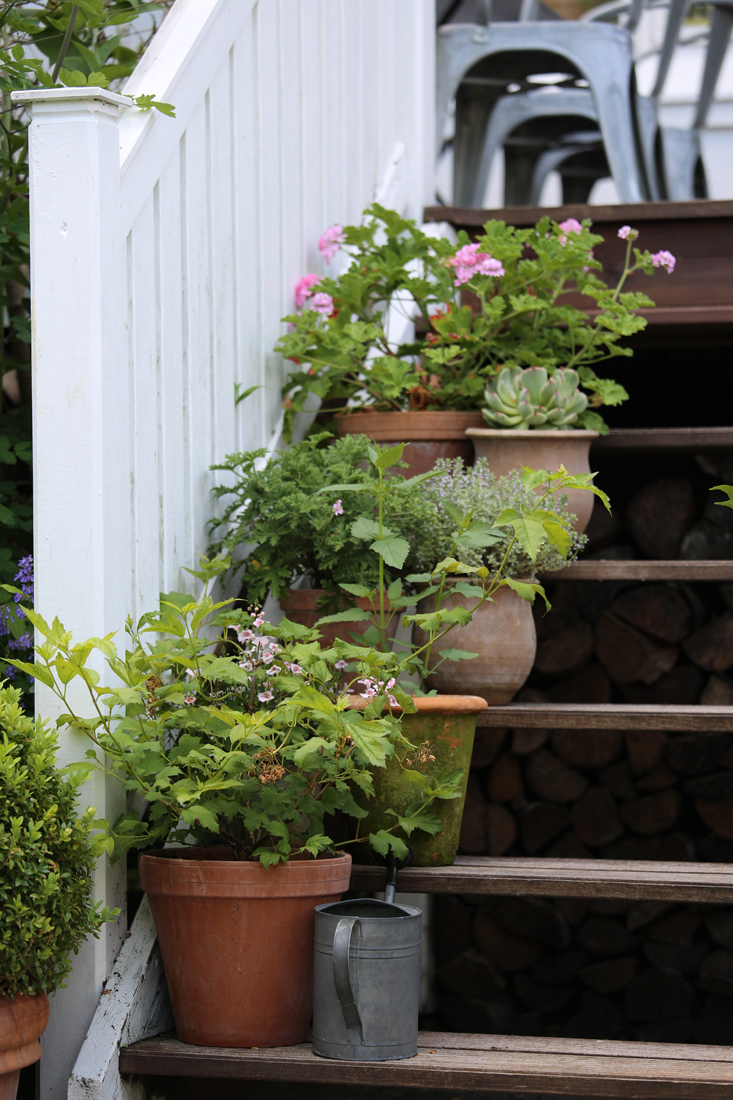 mette-krull-stair-2-gardenista