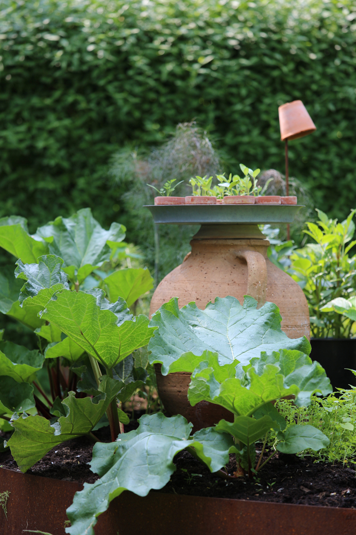 mette-krull-rhubarb-2-gardenista