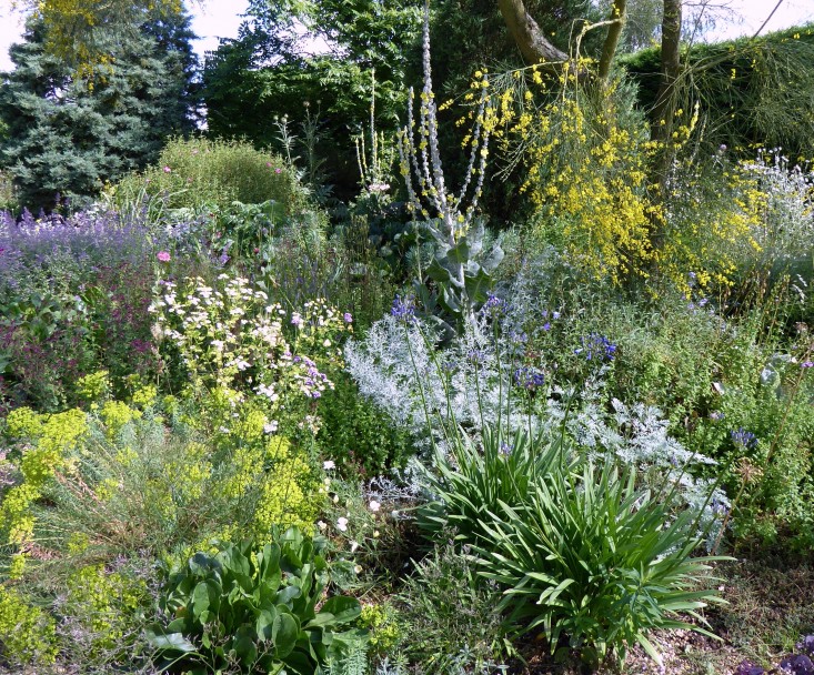 beth-chatto-gravel-garden-triangles-design-gardenista