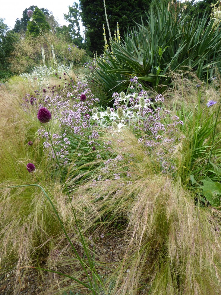 beth-chatto-gravel-garden-texture-grasses-gardenista