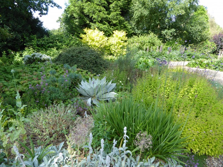 beth-chatto-gravel-garden-Agave-gardenista