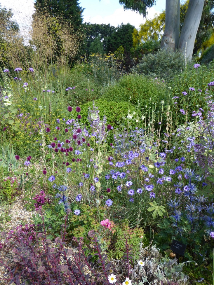 beth-chatto-gravel-garden-cutting-back-gardenista