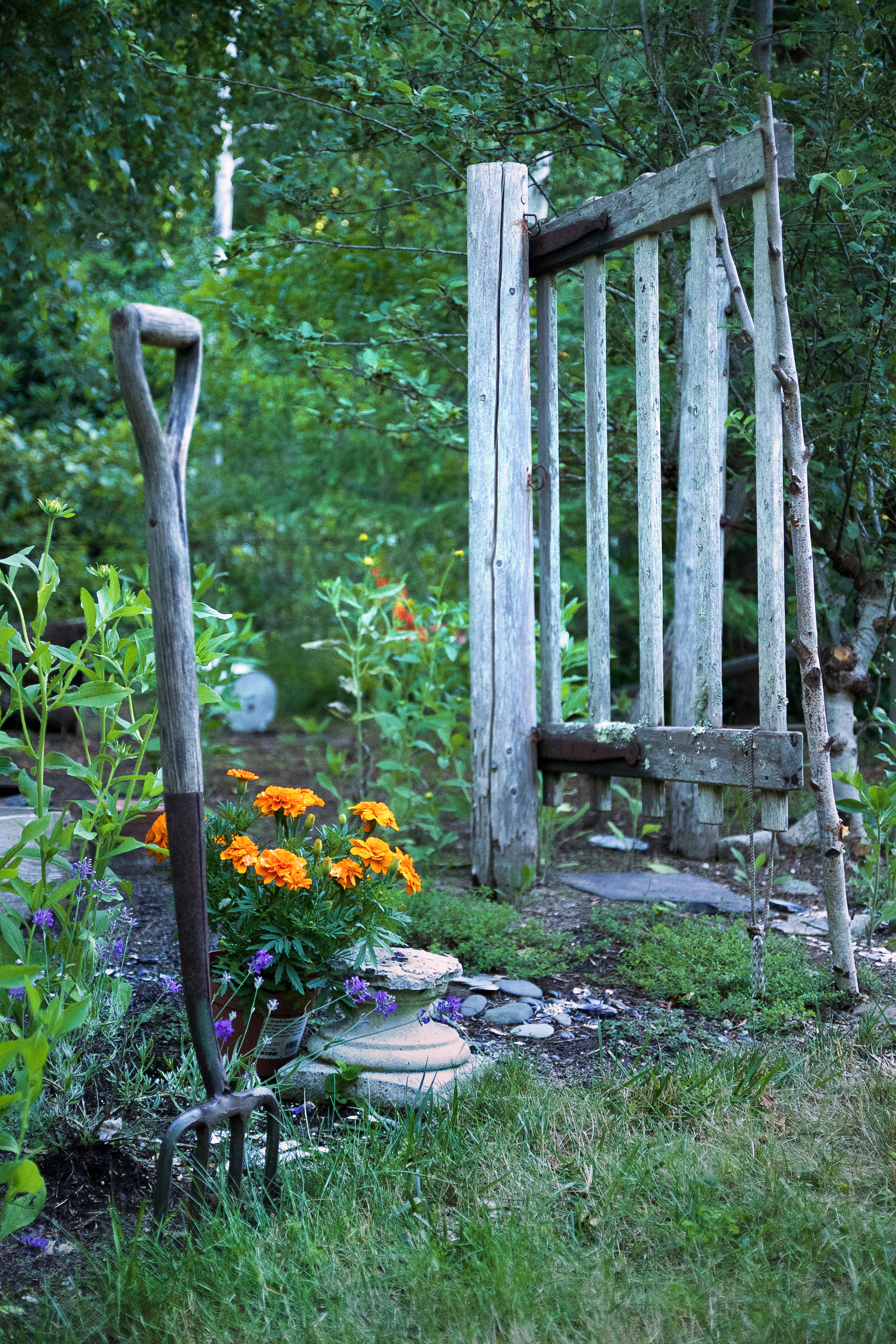 Marnie's garden gate, Gardenista_edited-1