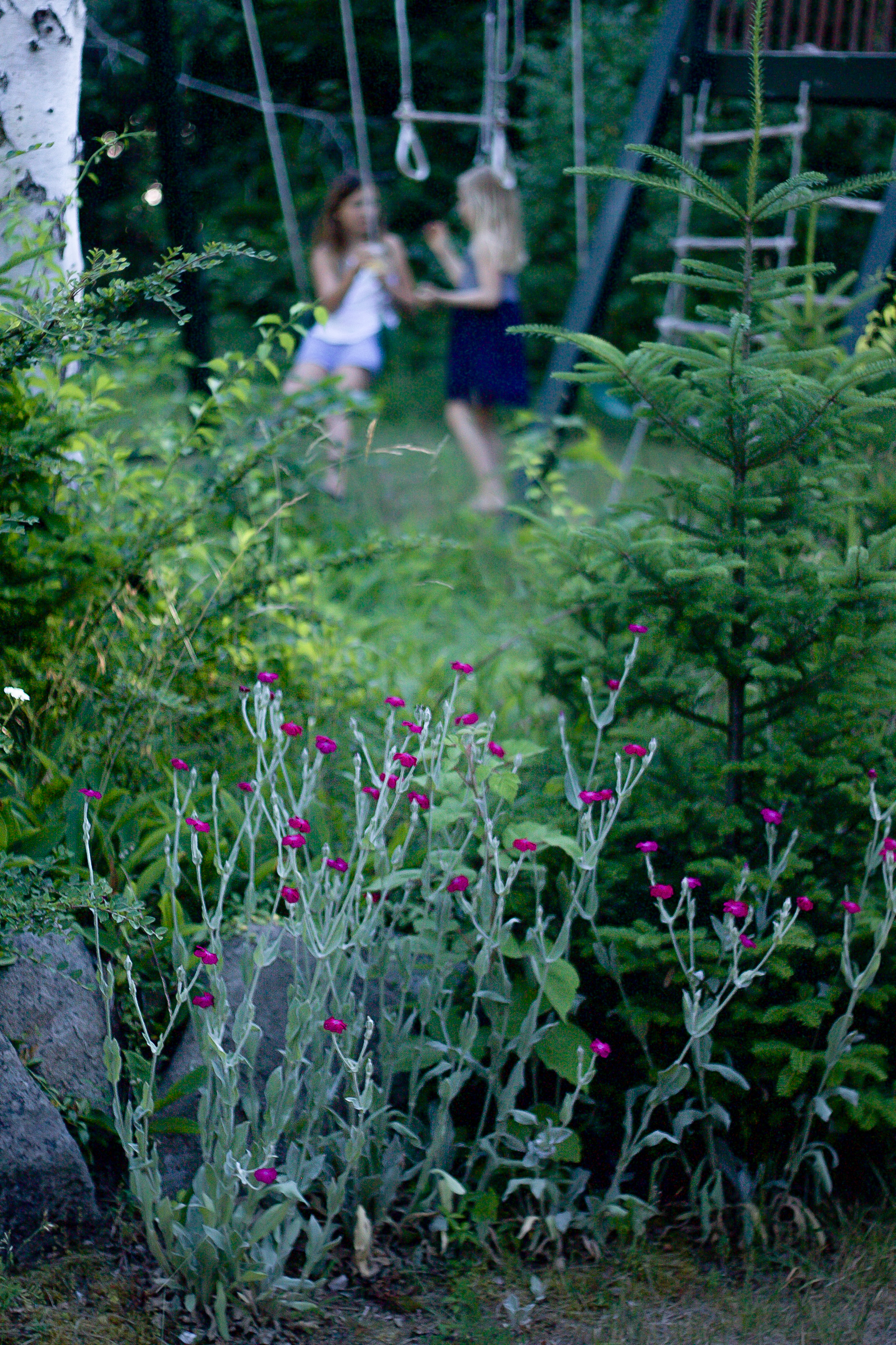 Marnie's garden with girls, Gardenista