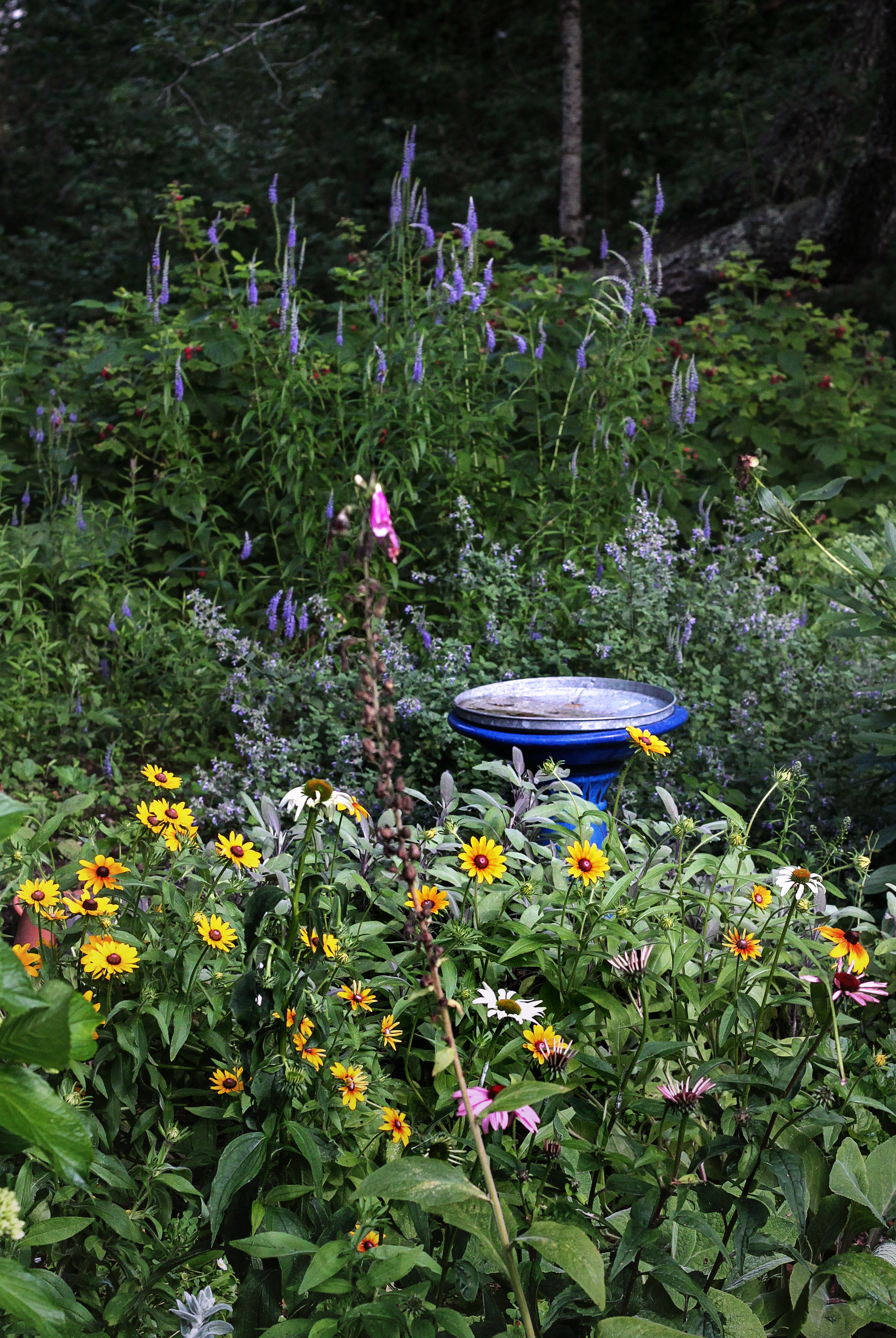 Marnie's garden bird bath, Gardenista_edited-1