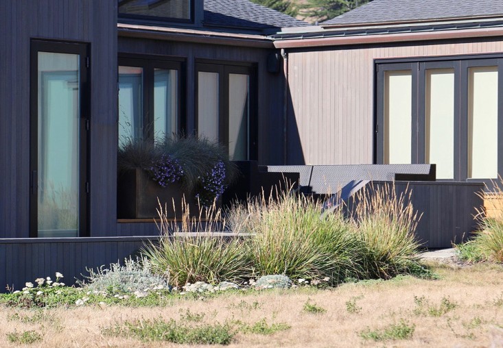 sea-ranch-planter-deck-grasses-meredith-swinehart-gardenista