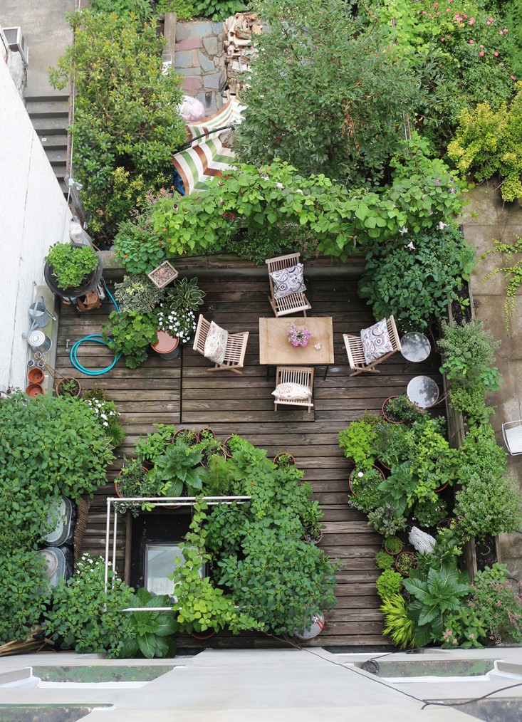 harlem_terrace_garden_66_square_feet_gardenista_marieviljoen