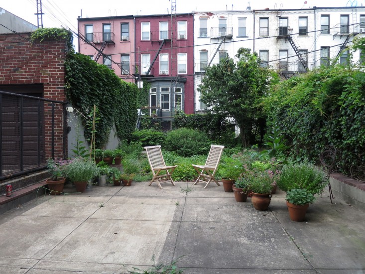 bare_yard_Brooklyn_marieviljoen_Gardenista