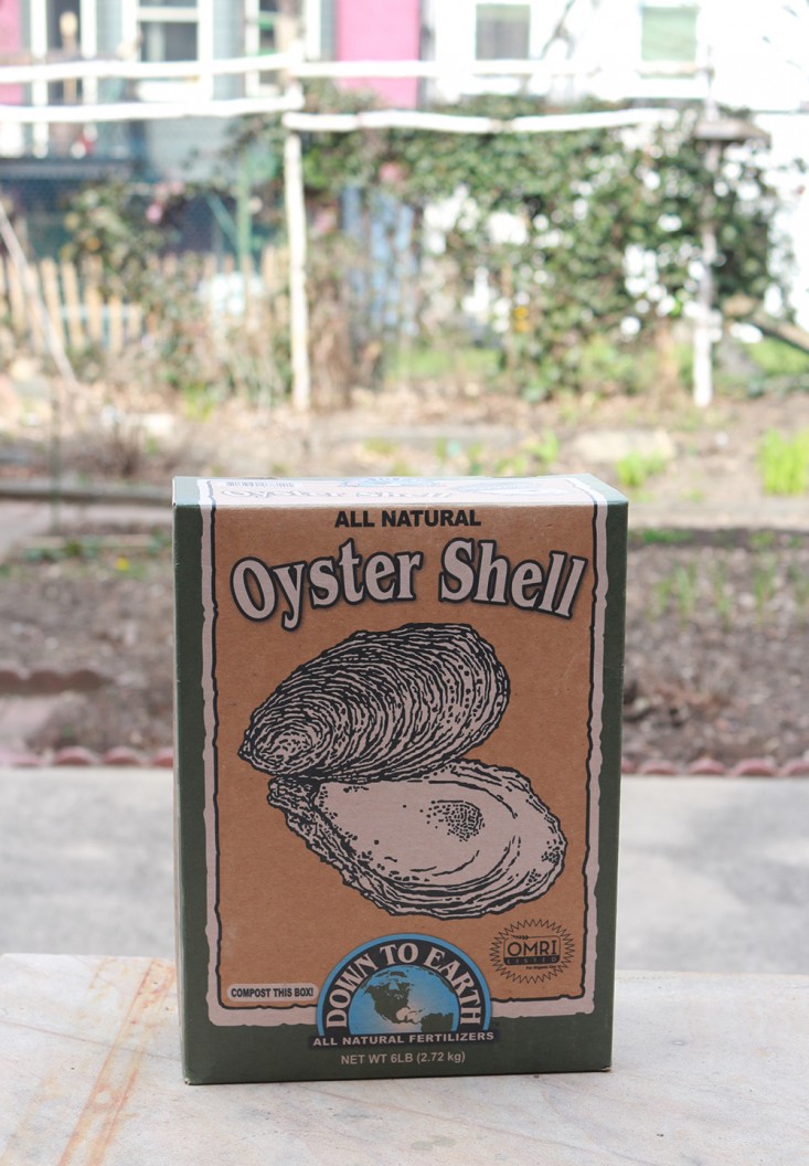 oyster_shells_box_marieviljoen_Gardenista