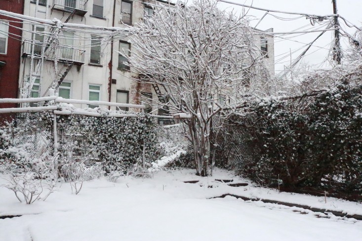 snow_Brooklyn_marieviljoen_Gardenista