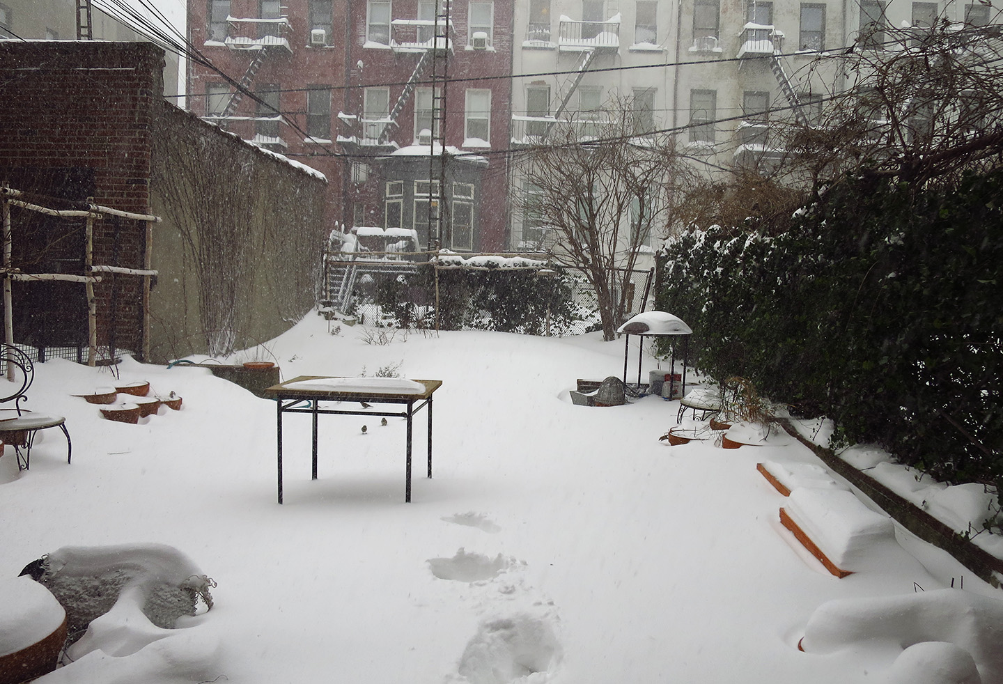 snow2_Brooklyn_marieviljoen_Gardenista