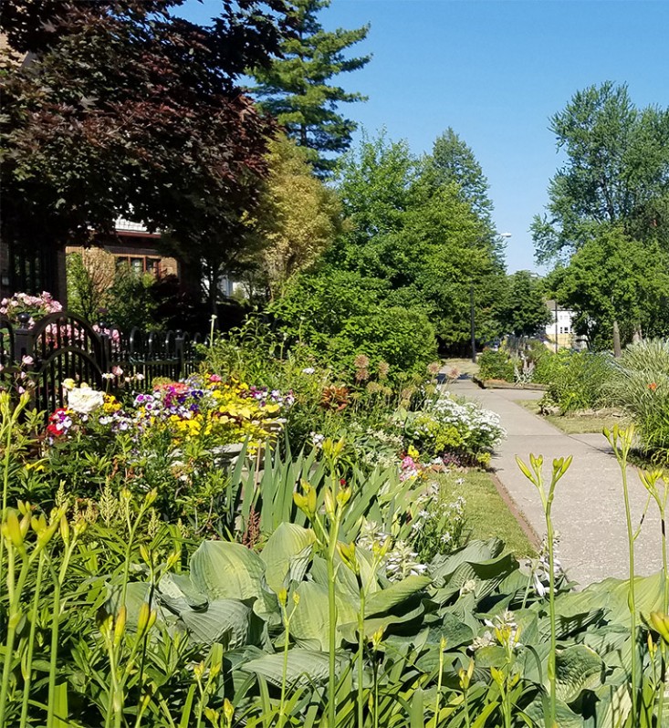 buffalo-sidewalk-hell-strip-garden-marieviljoen-gardenista