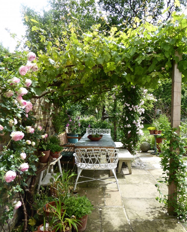 zinc-table-rose-arbor--daisy-garnett-garden-london-gardenista