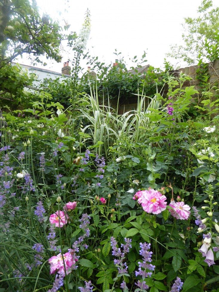 grasses-garden-beds--daisy-garnett-garden-london-gardenista