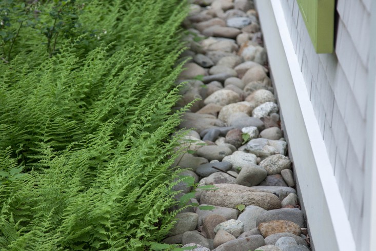 20-Matthew-Cunningham-Landscape-Design-Clamshell-Alley-drainage-rock-ferns-gardenista