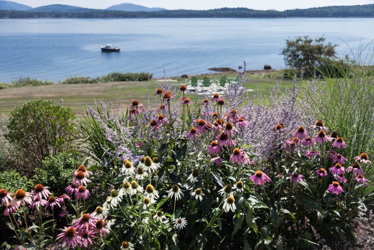 32-Matthew-Cunningham-Landscape-Design-Clamshell-Alley-echinacia-perennials-maine-gardenista