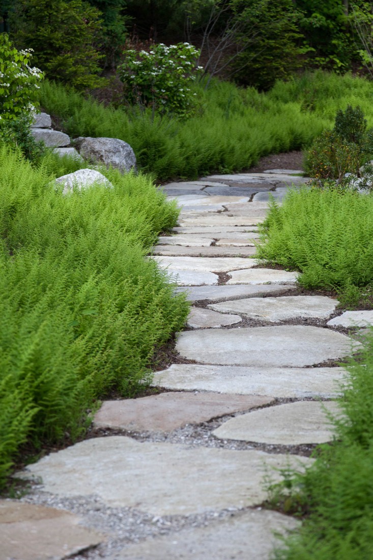 22-Matthew-Cunningham-Landscape-Design-Clamshell-Alley-granite-pavers-path-ferns-gardenista