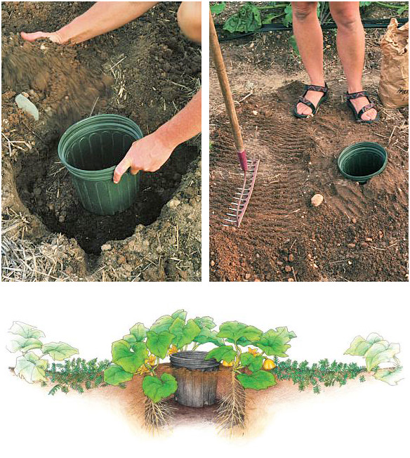 DIY Creative Garden Hacks 02