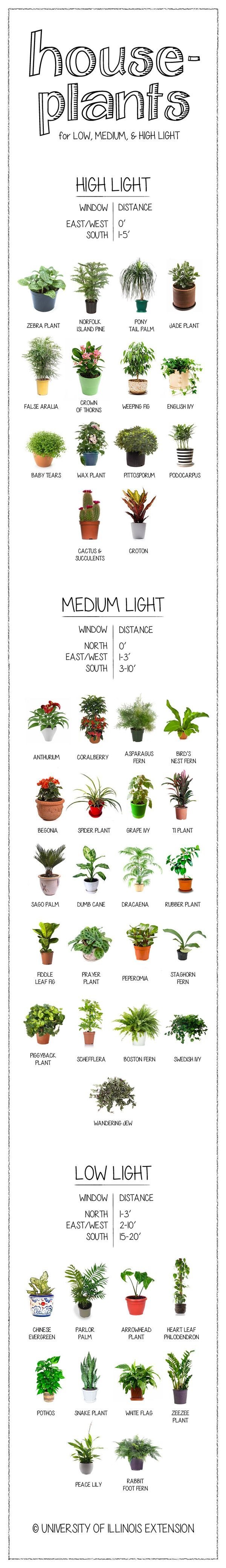 Garden cheat sheets-2