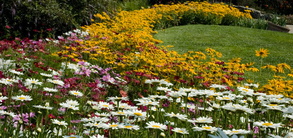 10 Gardens to visit-3