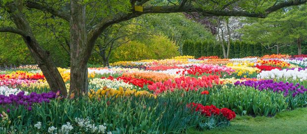 10 Gardens to visit-5