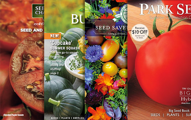 Top 12 Garden Seed Catalogs