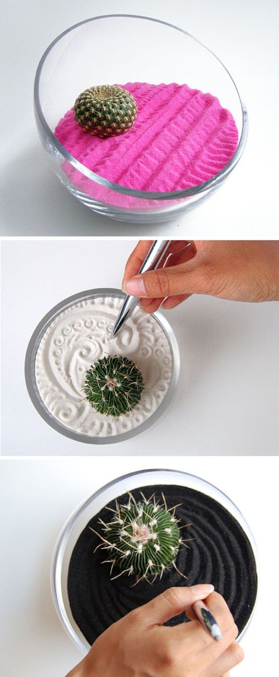 Indoor Cool Cactus & Succulent Projects-9