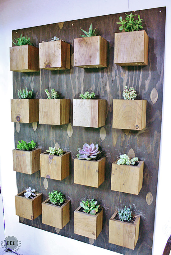 Indoor Cool Cactus & Succulent Projects 47
