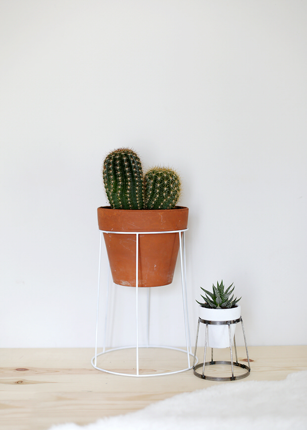 Indoor Cool Cactus & Succulent Projects-10
