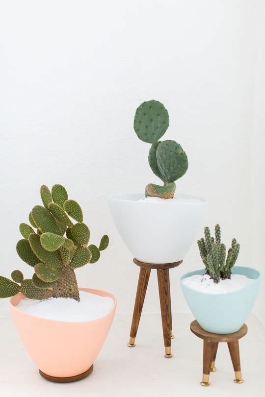 Indoor Cool Cactus & Succulent Projects-12
