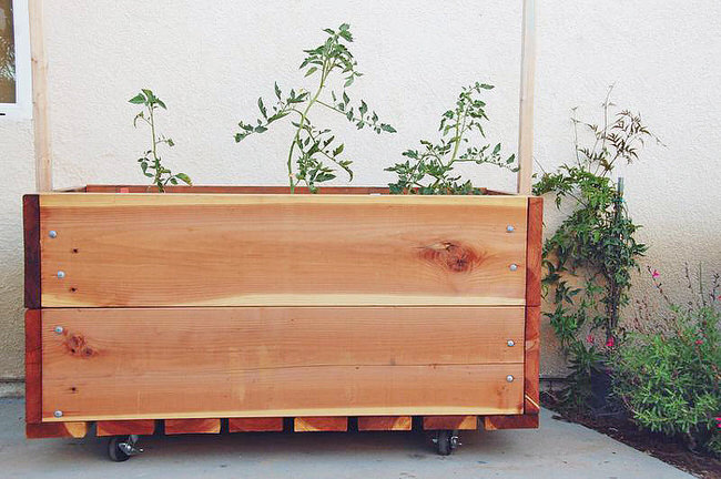 container herb gardens-45