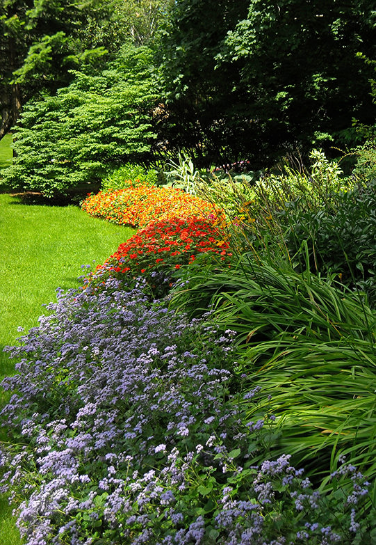 fantasical flower beds 2