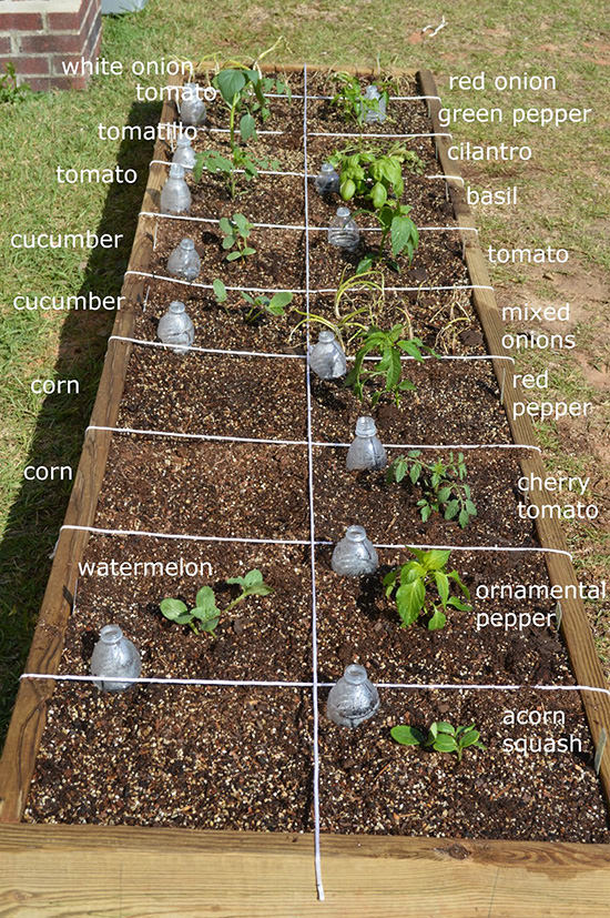 Easy Steps To Square Foot Garden Success