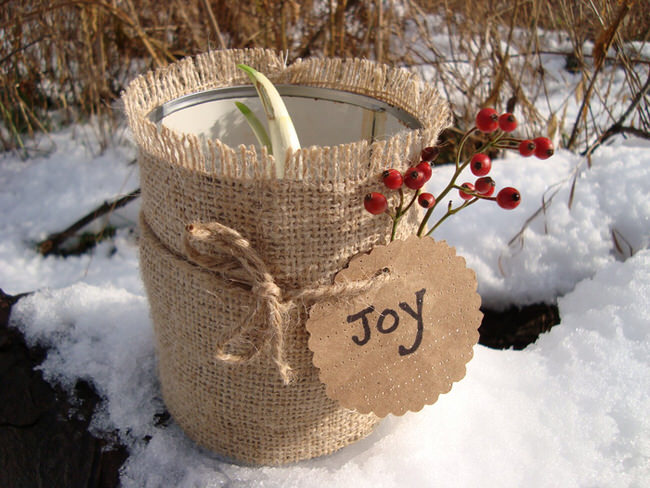 DIY Holiday Gift Plant Projects