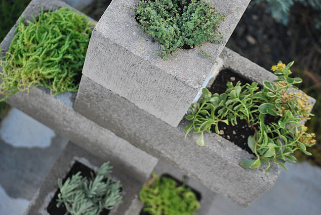 DIY Cinder Block Vertical Planter