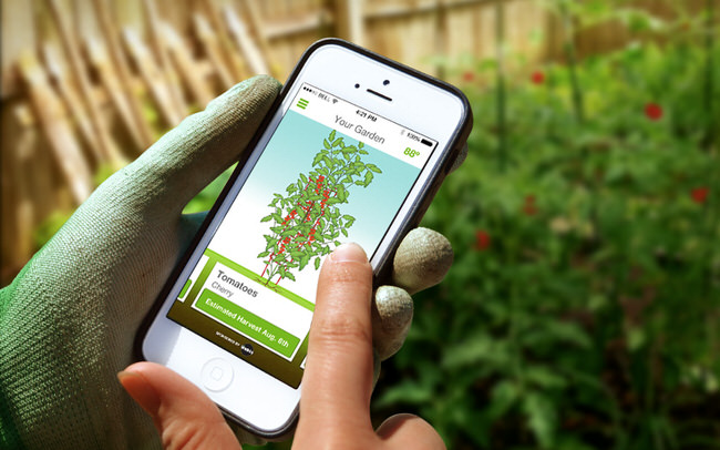 -garden-apps-feature--gosprout.it