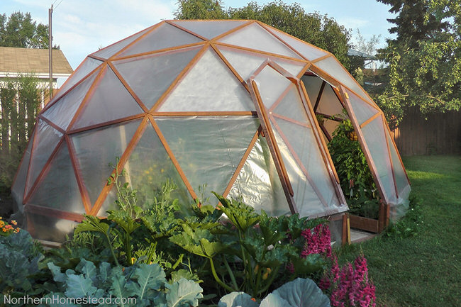 12 Great DIY Greenhouses