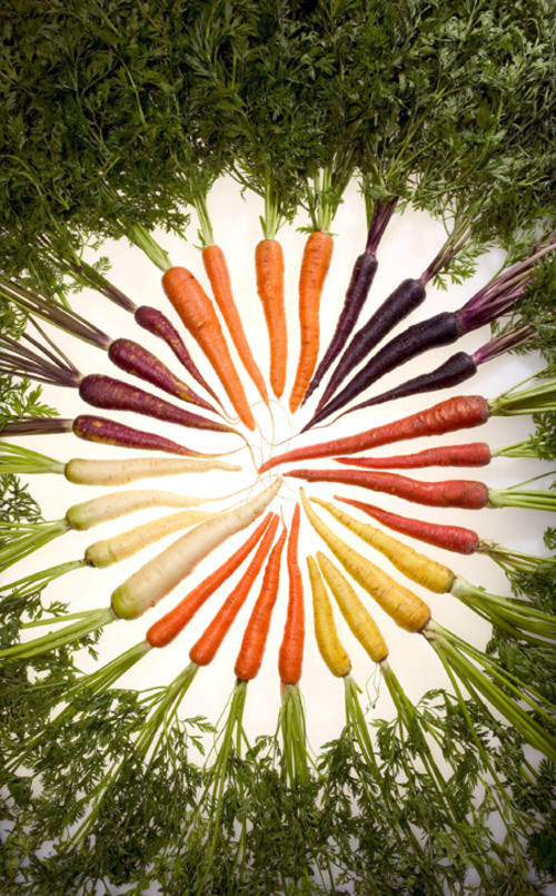 carrots_of_many_colors_2